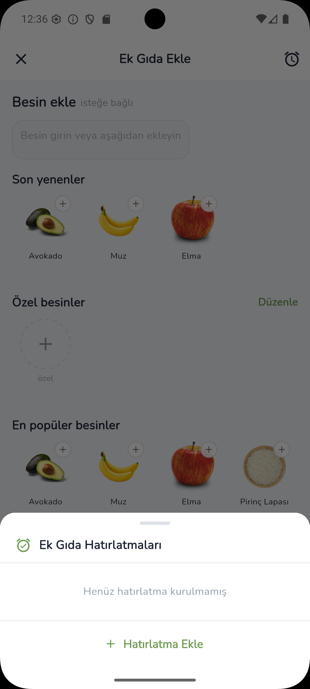 Ebeveyn uygulaması ek gıda hatırlatıcı kurulumu ekranı