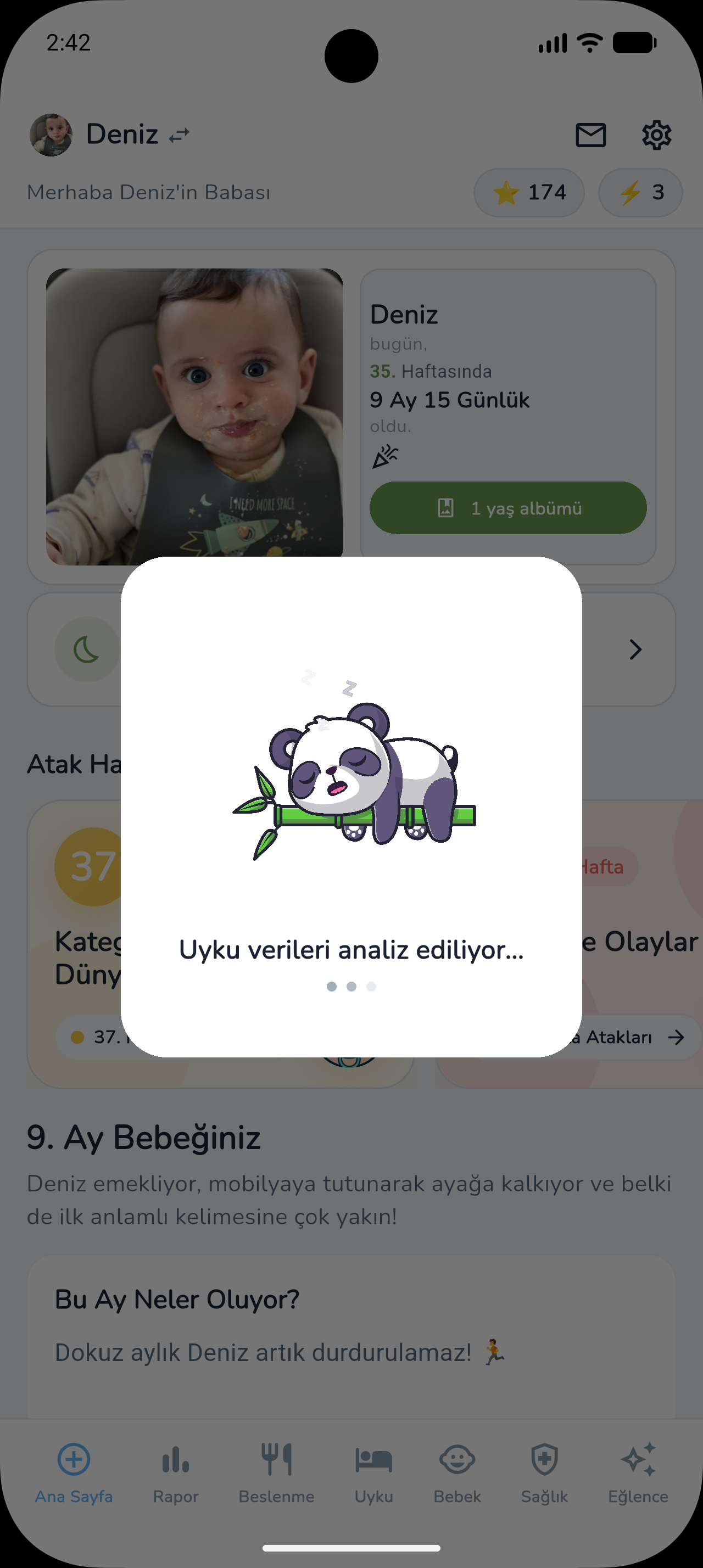 Uyku verileri analiz ediliyor — panda yükleme ekranı